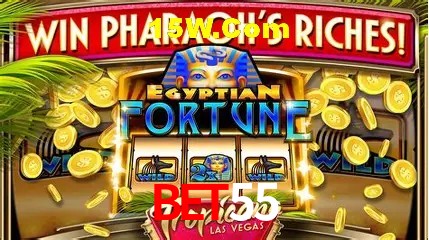 Estatísticas bet55