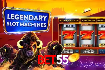 Sistemas de Segurança bet55