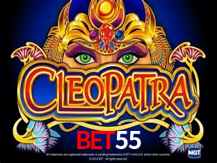 Experiência VIP bet55